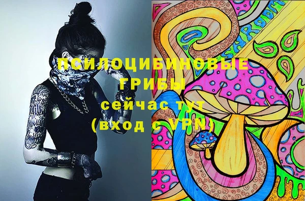 ALPHA PVP Алексин