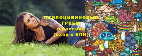 прущие грибы Алзамай