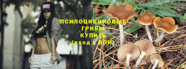 ALPHA PVP Алексин