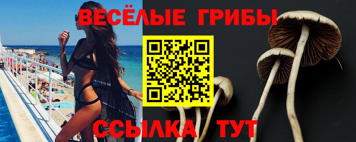 Котельники  Псилоцибиновые грибы мухоморы  Вход с VPN 
